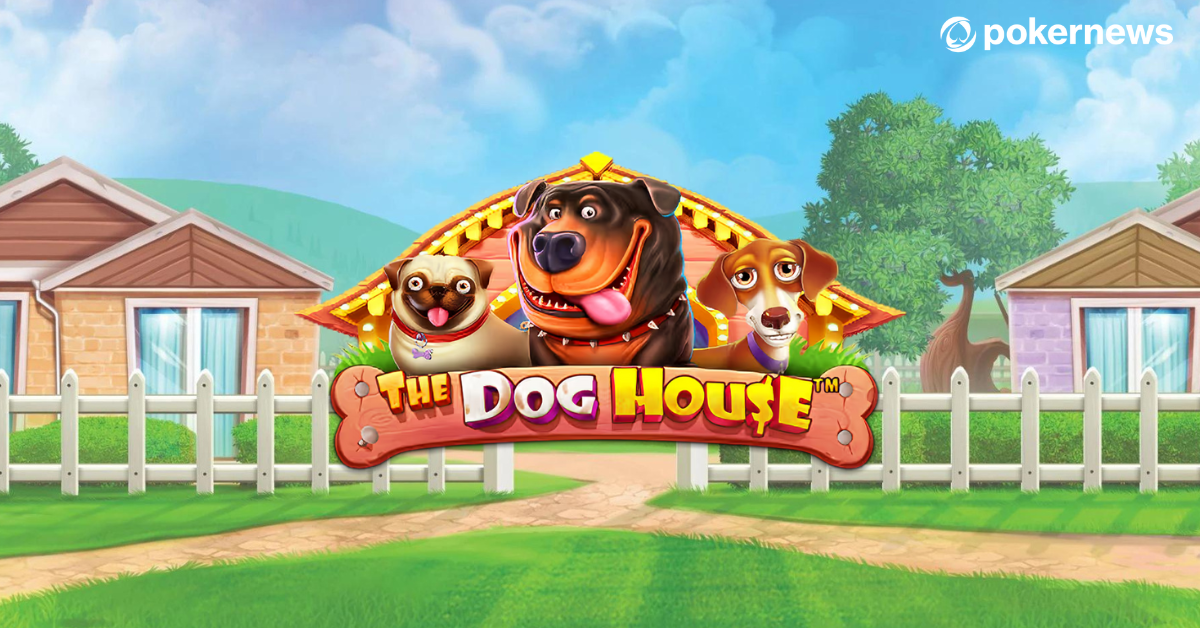 Слот The Dog House в казино Dragon Money